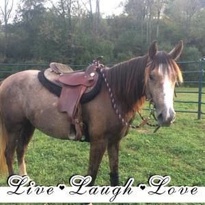 Meet your Posher, Alicia